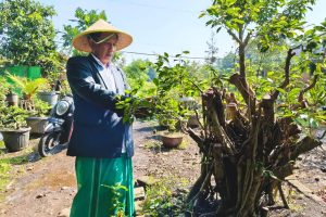 Bangun Generasi Tangguh, Kekuatan Cerita, Visi dan Leadership ala KH Abdullah SAM