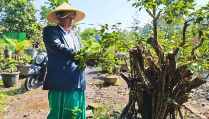 Bangun Generasi Tangguh, Kekuatan Cerita, Visi dan Leadership ala KH Abdullah SAM
